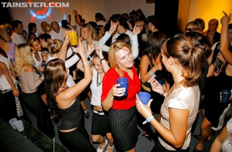Seductive gals are into cock sucking contest at the drunk party