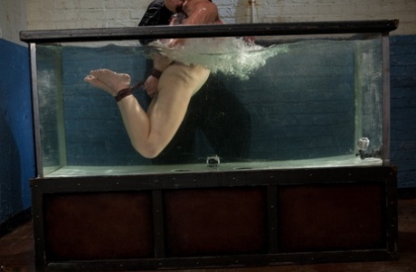 Water Bondage starring Dee Williams Sex Images