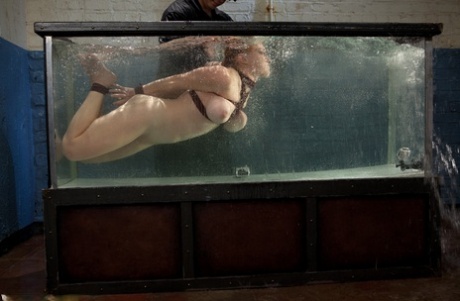 Water Bondage starring Dee Williams Sex Images
