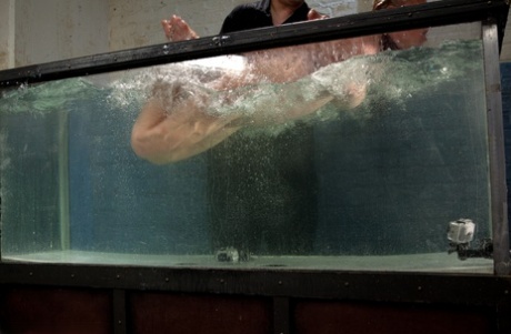 Water Bondage starring Dee Williams Sex Images