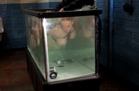 Water Bondage starring Dee Williams Sex Images