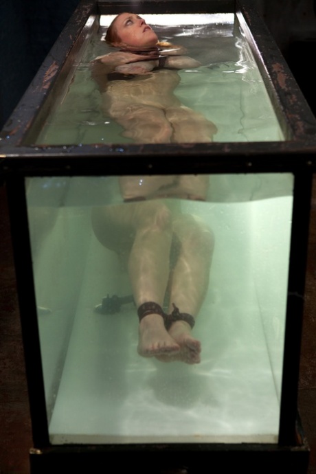 Water Bondage starring Dee Williams Sex Images